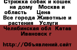 Стрижка собак и кошек на дому.  Москва и область.  › Цена ­ 1 200 - Все города Животные и растения » Услуги   . Челябинская обл.,Катав-Ивановск г.